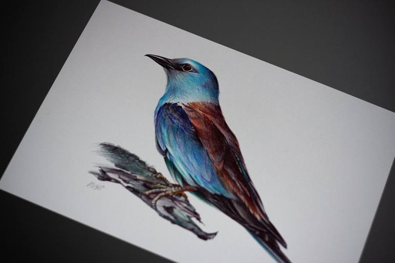 Original Photorealism Animal Drawing by Daria Maier