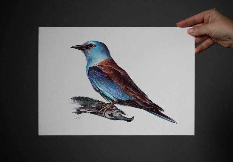 Original Photorealism Animal Drawing by Daria Maier