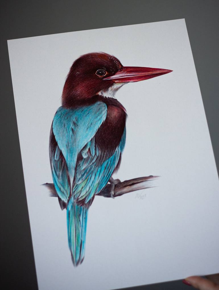 Original Photorealism Animal Drawing by Daria Maier