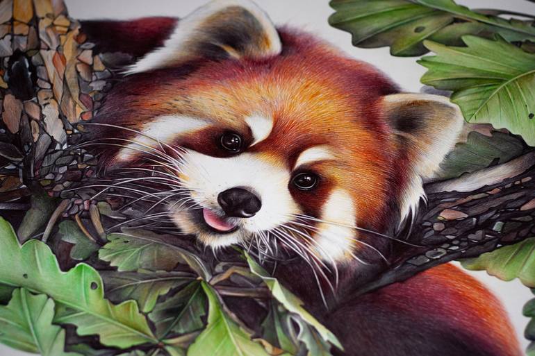 Original Photorealism Animal Drawing by Daria Maier