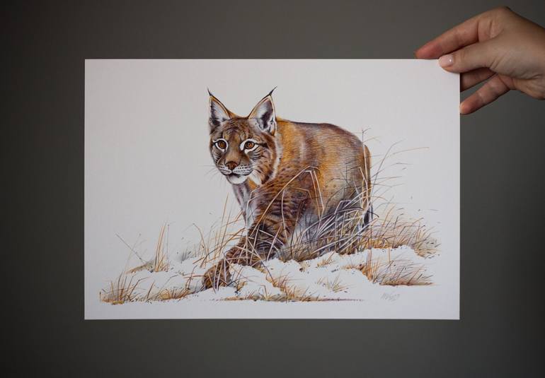 Original Animal Drawing by Daria Maier