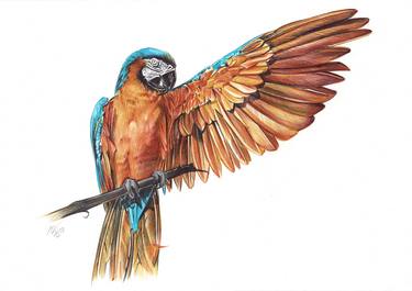 Blue-and-yellow Macaw (Realistic Ballpoint Pen Drawing) thumb