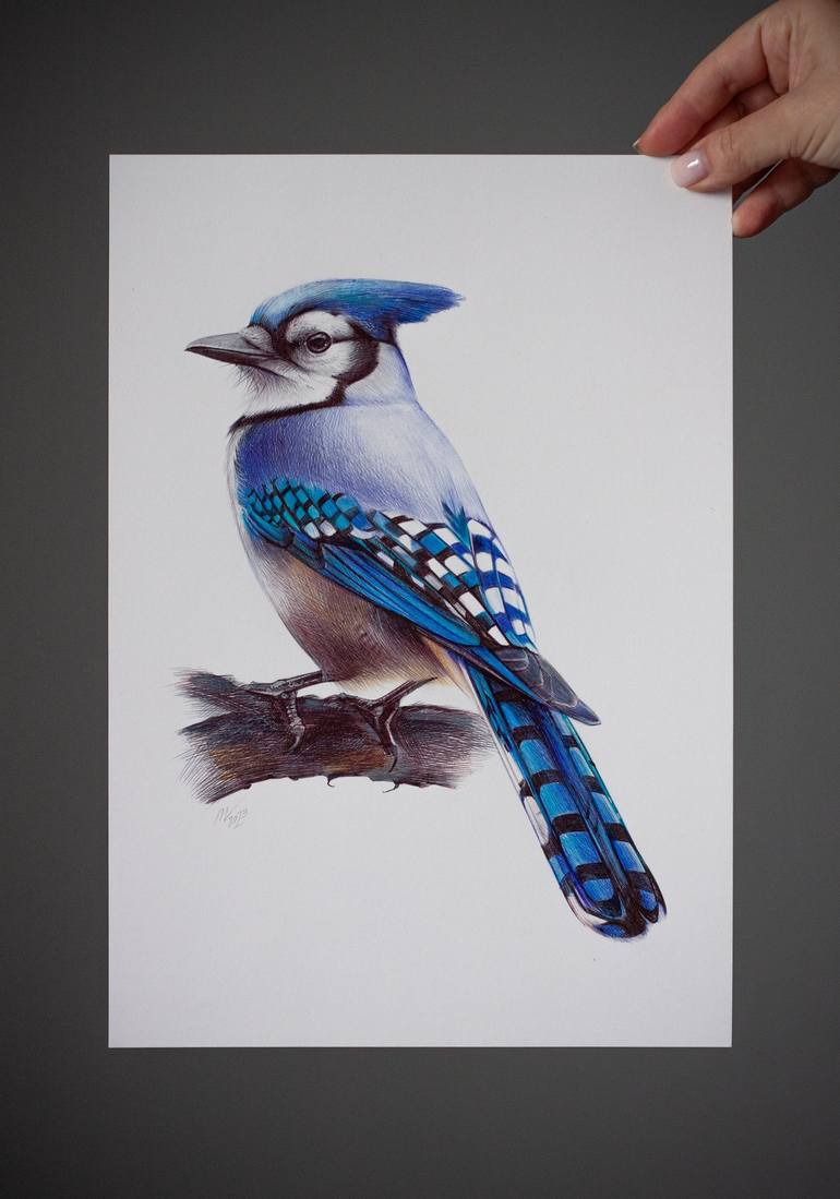 Original Photorealism Animal Drawing by Daria Maier