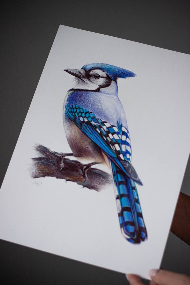 Original Photorealism Animal Drawing by Daria Maier