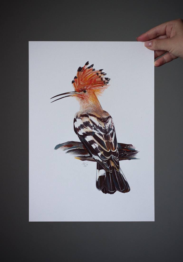 Original Photorealism Animal Drawing by Daria Maier