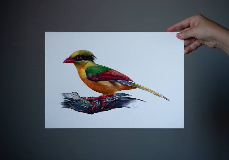 Original Photorealism Animal Drawing by Daria Maier