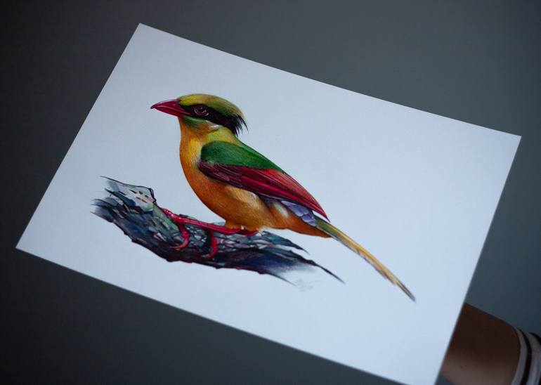 Original Photorealism Animal Drawing by Daria Maier