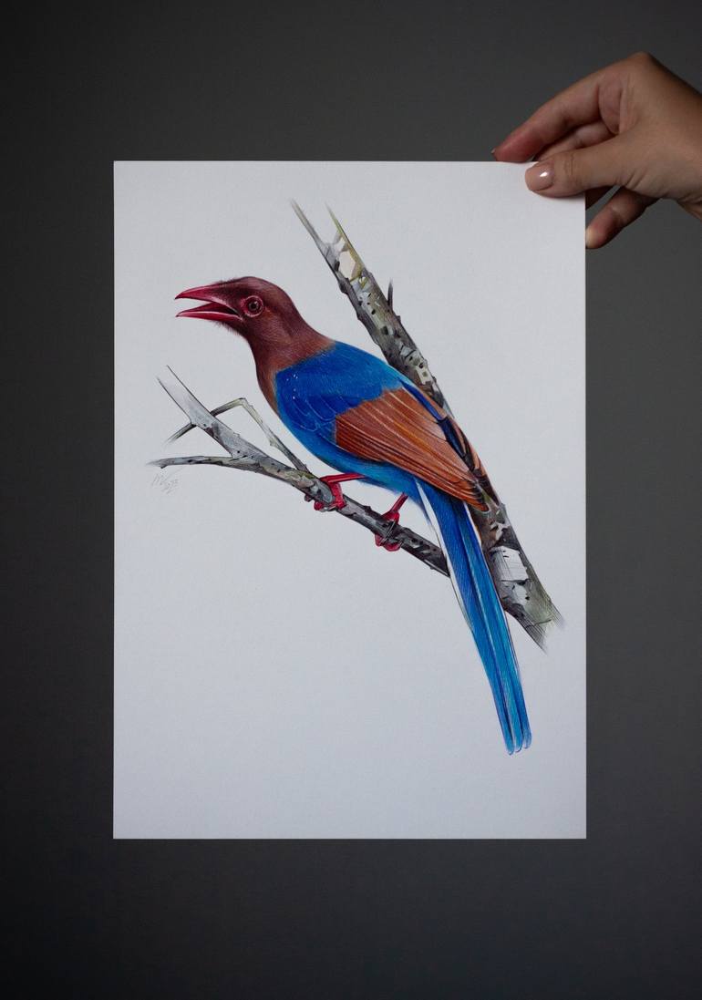 Original Photorealism Animal Drawing by Daria Maier