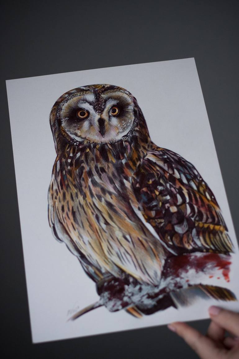 Original Photorealism Animal Drawing by Daria Maier