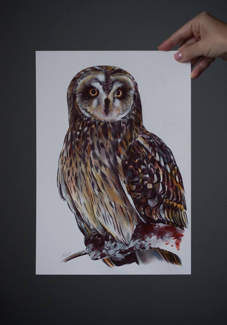 Original Photorealism Animal Drawing by Daria Maier