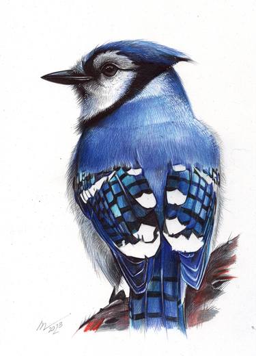 Original Photorealism Animal Drawings by Daria Maier