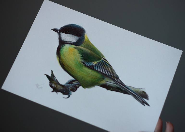 Original Photorealism Animal Drawing by Daria Maier