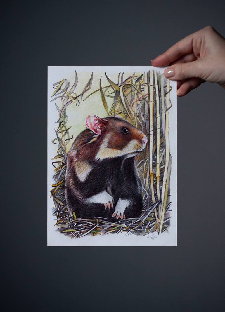 Original Photorealism Animal Drawing by Daria Maier