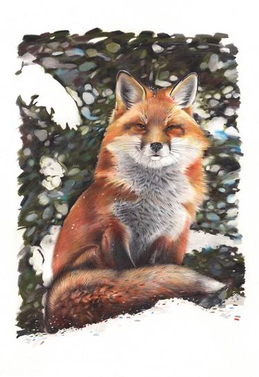 Red Fox - Animal Portrait Painting