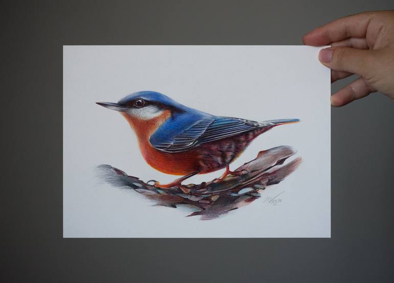 Original Photorealism Animal Drawing by Daria Maier