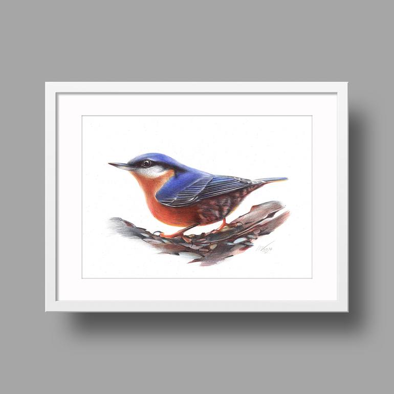 Original Photorealism Animal Drawing by Daria Maier