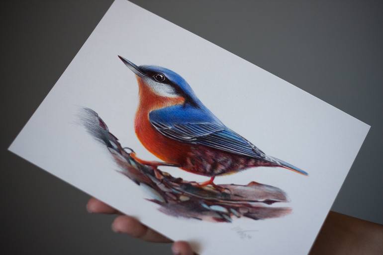 Original Photorealism Animal Drawing by Daria Maier
