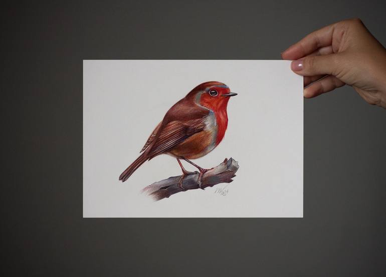 Original Photorealism Animal Drawing by Daria Maier