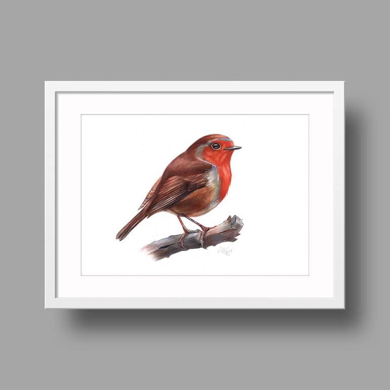 Original Photorealism Animal Drawing by Daria Maier