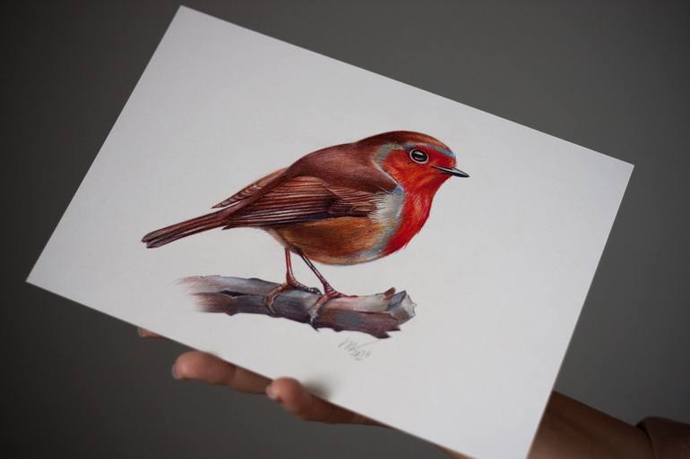 Original Photorealism Animal Drawing by Daria Maier