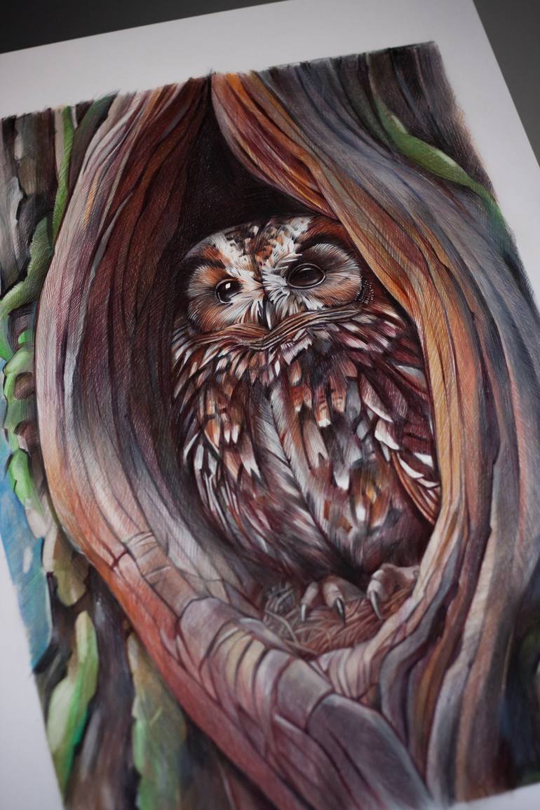 Original Photorealism Animal Drawing by Daria Maier