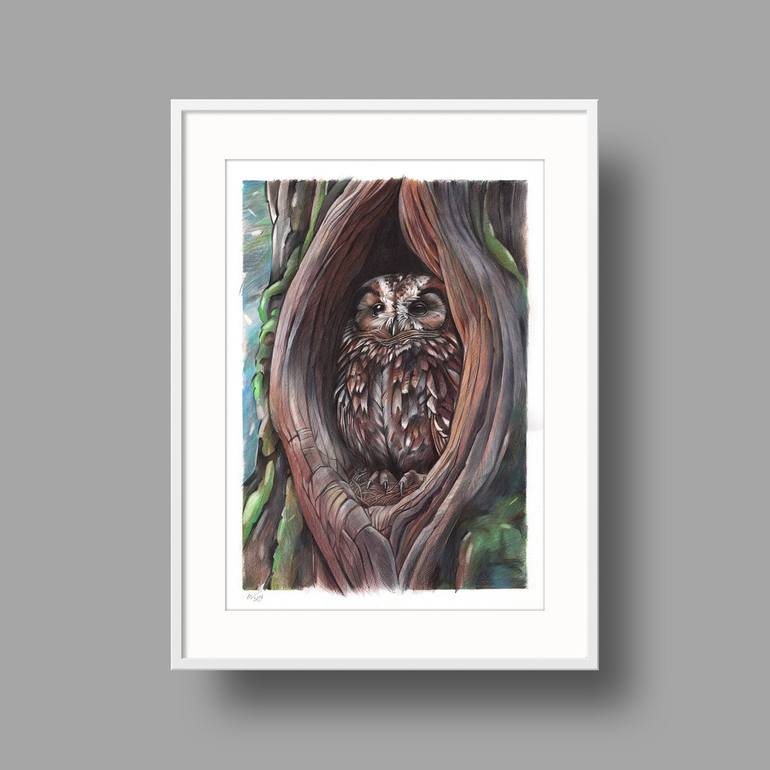 Original Photorealism Animal Drawing by Daria Maier