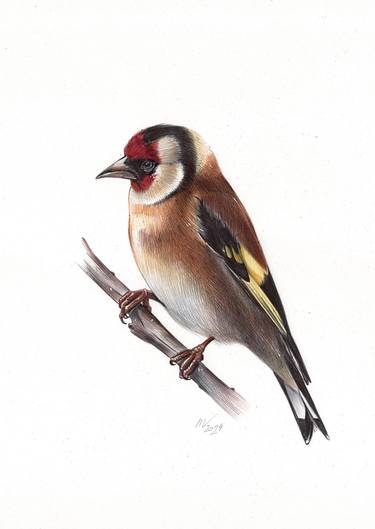 Original Photorealism Animal Drawings by Daria Maier