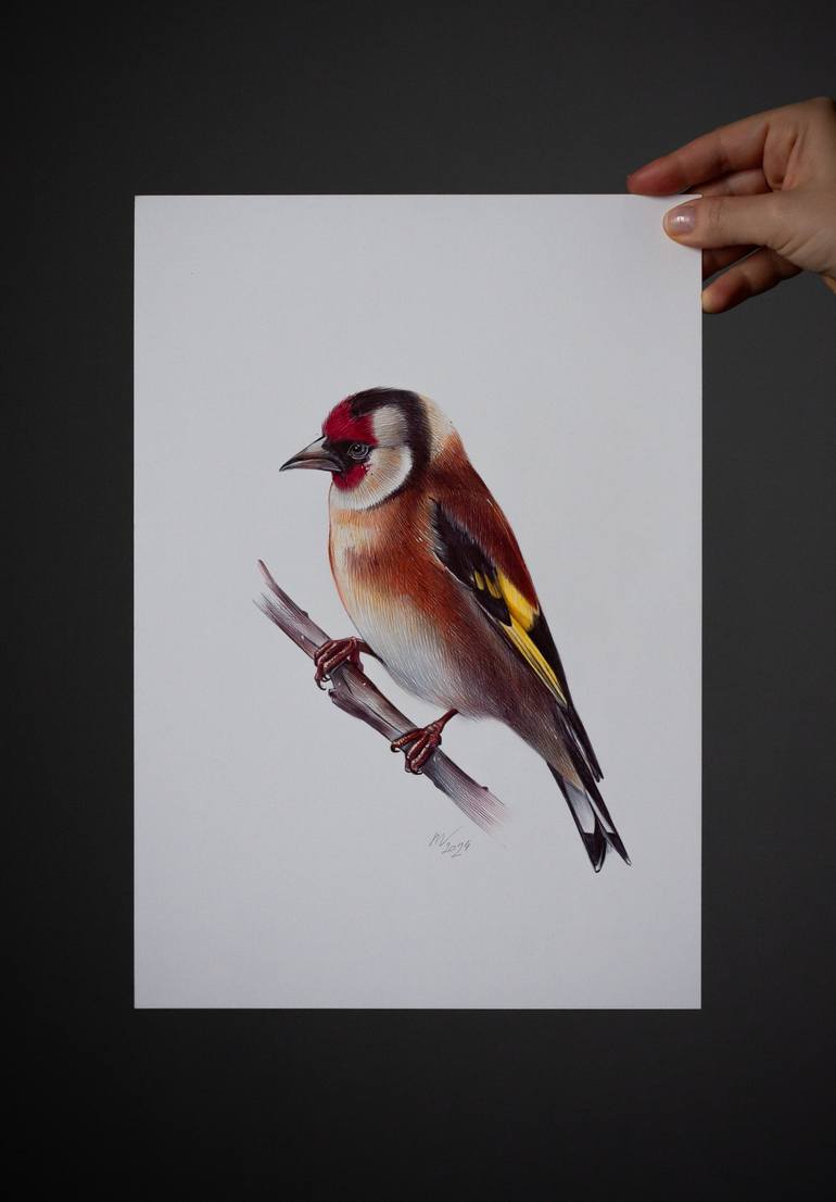 Original Photorealism Animal Drawing by Daria Maier