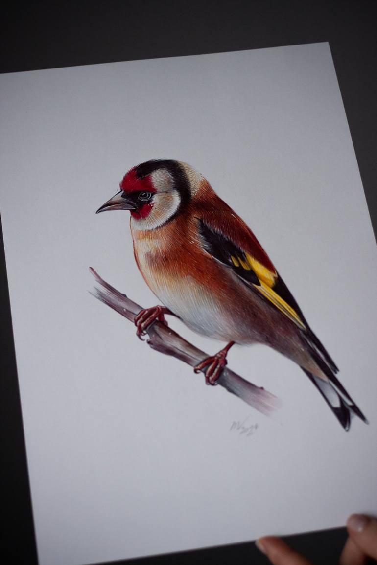 Original Photorealism Animal Drawing by Daria Maier