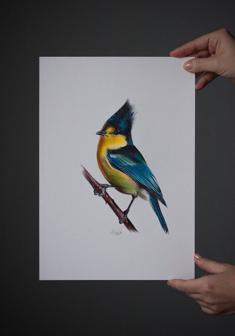 Original Photorealism Animal Drawing by Daria Maier