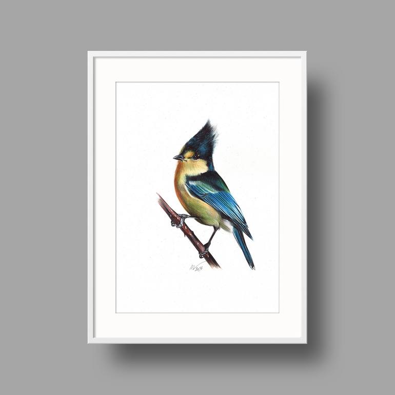 Original Photorealism Animal Drawing by Daria Maier