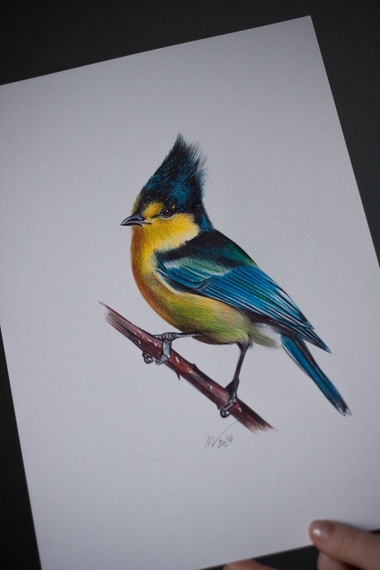 Original Photorealism Animal Drawing by Daria Maier