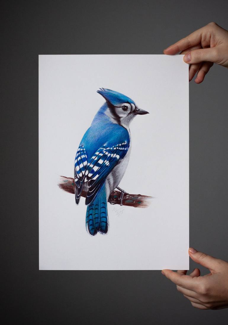Original Photorealism Animal Drawing by Daria Maier