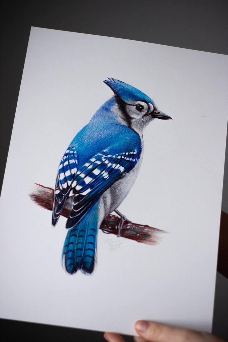 Original Photorealism Animal Drawing by Daria Maier