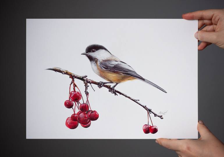Original Photorealism Animal Drawing by Daria Maier