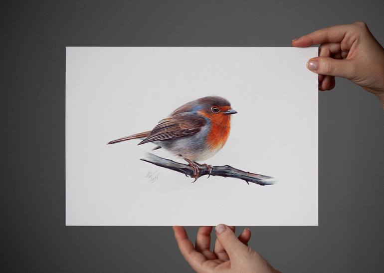 Original Documentary Animal Drawing by Daria Maier