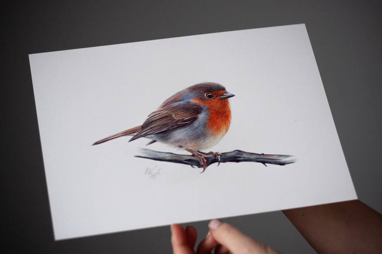 Original Documentary Animal Drawing by Daria Maier