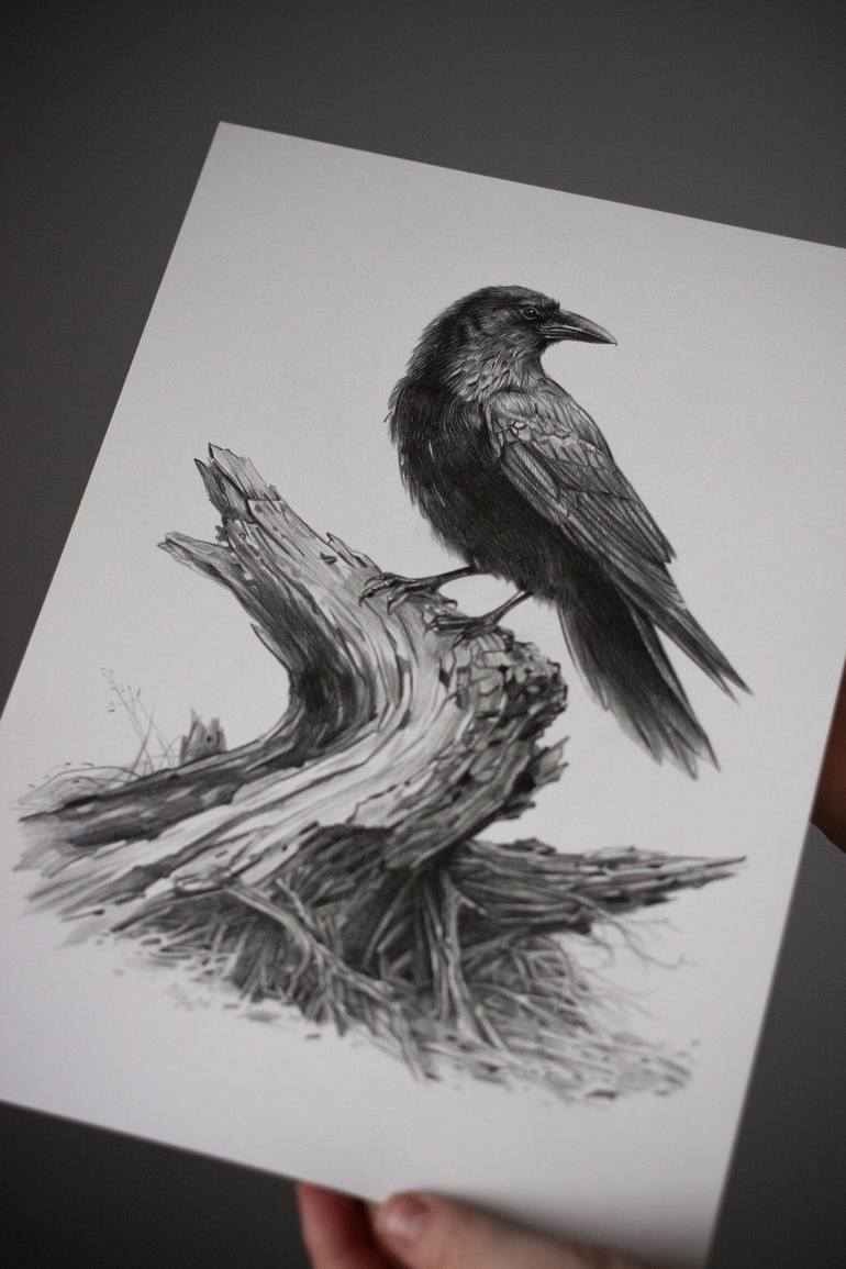 Original Documentary Animal Drawing by Daria Maier