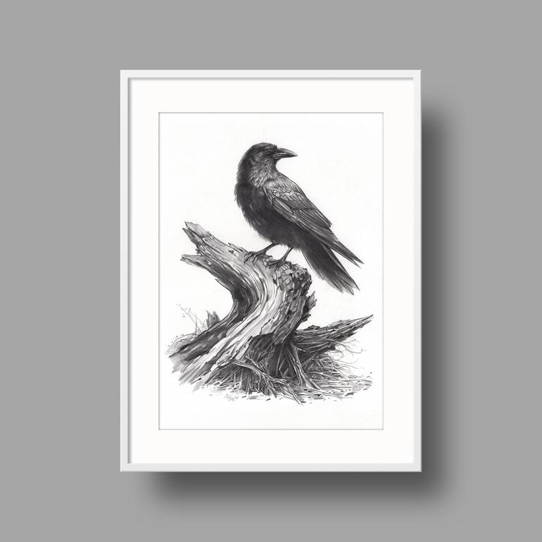Original Documentary Animal Drawing by Daria Maier