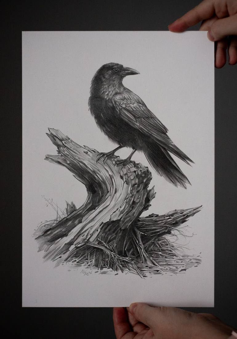 Original Documentary Animal Drawing by Daria Maier