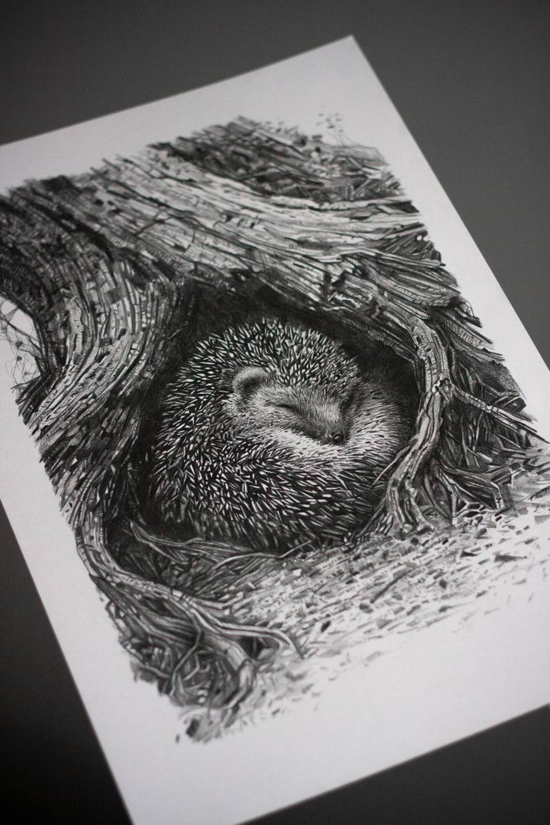 Original Documentary Animal Drawing by Daria Maier