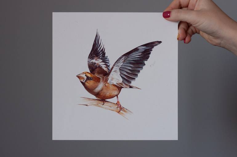 Original Animal Drawing by Daria Maier