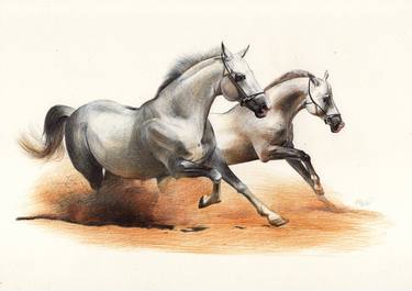 Two White Horses in the Dust thumb