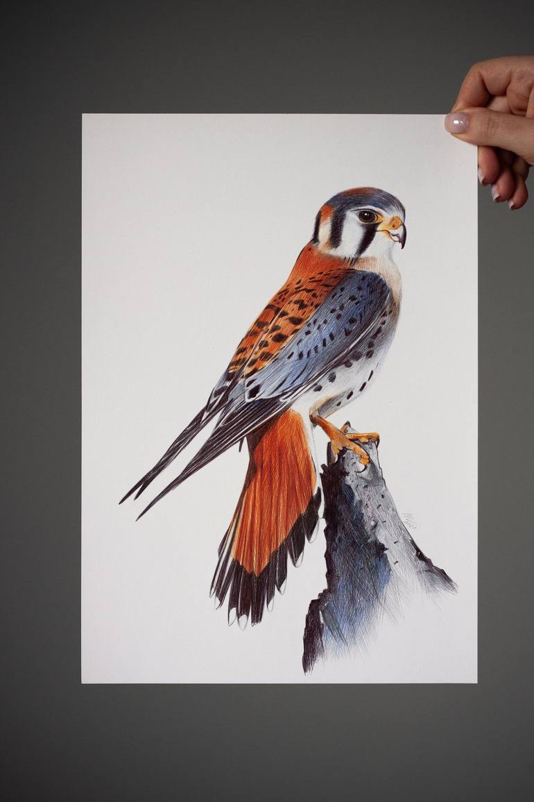 Original Photorealism Animal Drawing by Daria Maier