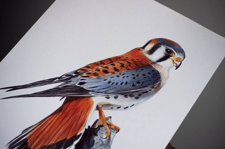 Original Photorealism Animal Drawing by Daria Maier