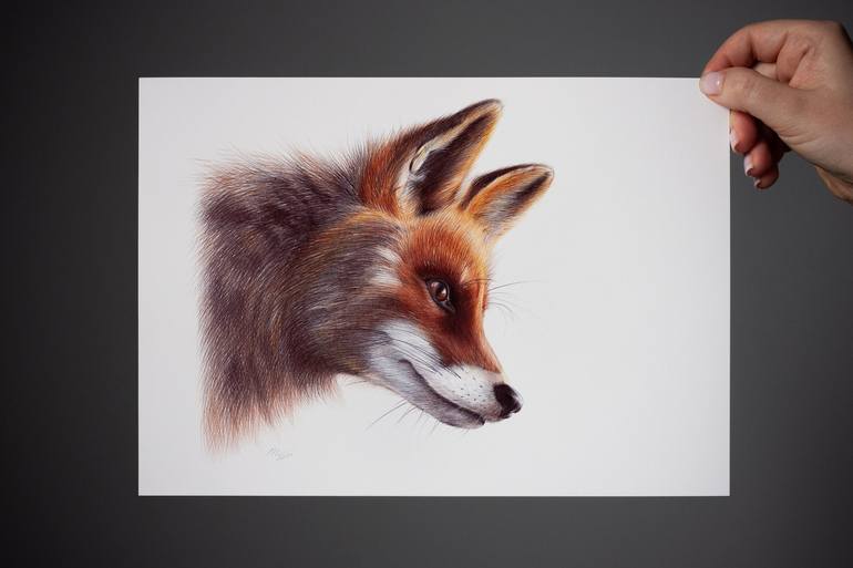 Original Photorealism Animal Drawing by Daria Maier