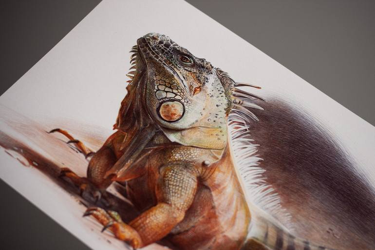 Original Photorealism Animal Drawing by Daria Maier