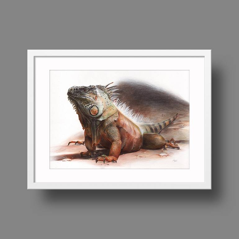 Original Photorealism Animal Drawing by Daria Maier