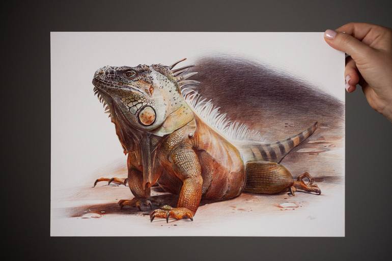 Original Photorealism Animal Drawing by Daria Maier