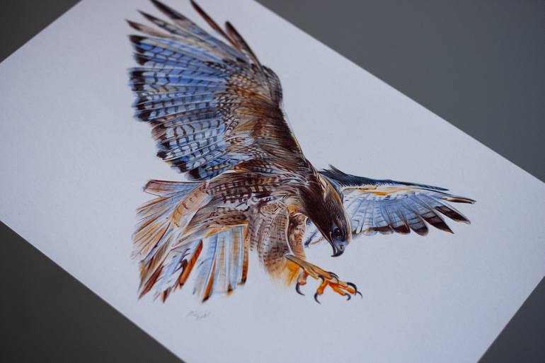 Original Photorealism Animal Drawing by Daria Maier